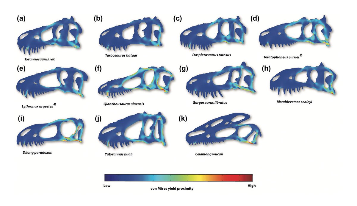 Evan Johnson-Ransom tweet media