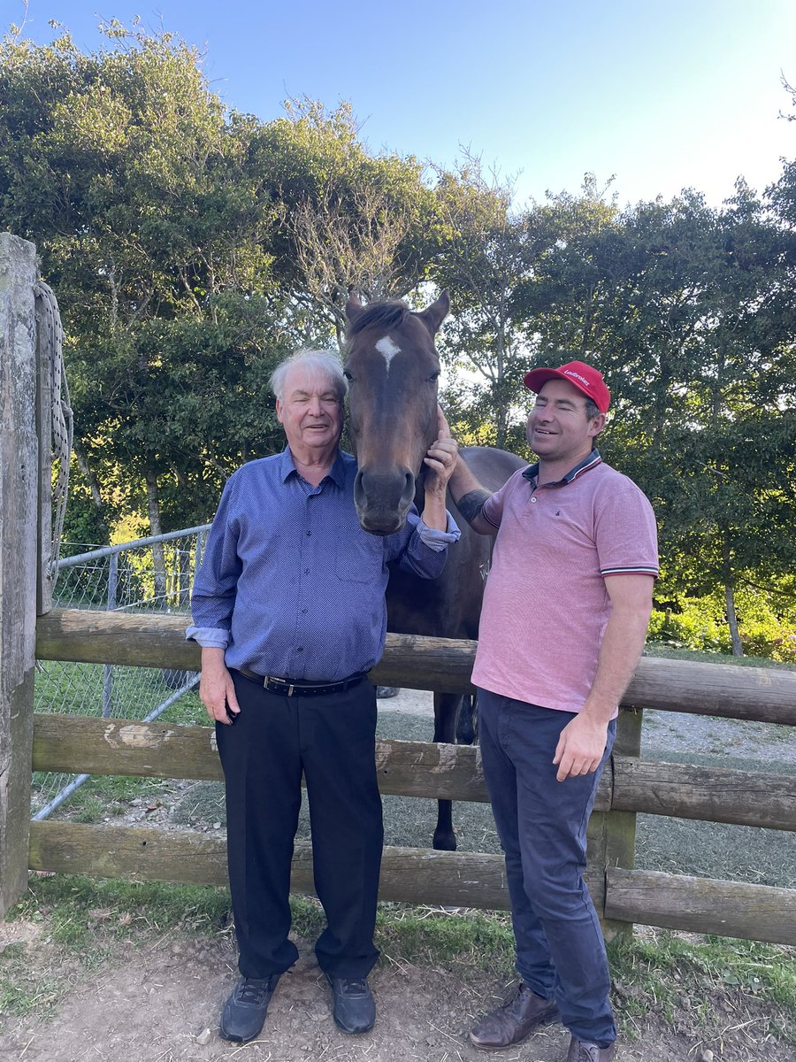 Matty_Pitman's tweet photo. On the eve of tomorrow’s Wellington Cup we got to visit a stable legend!!

Enzo’s Lad had 50 career starts for 8 wins, 4 at Group &amp; Listed level. He was a dual Group 1 winner of the Telegraph Handicap at Trentham. Enzo took his connection’s to Hong Kong and Royal Ascot. https://t.co/1i2cFeCA4v
