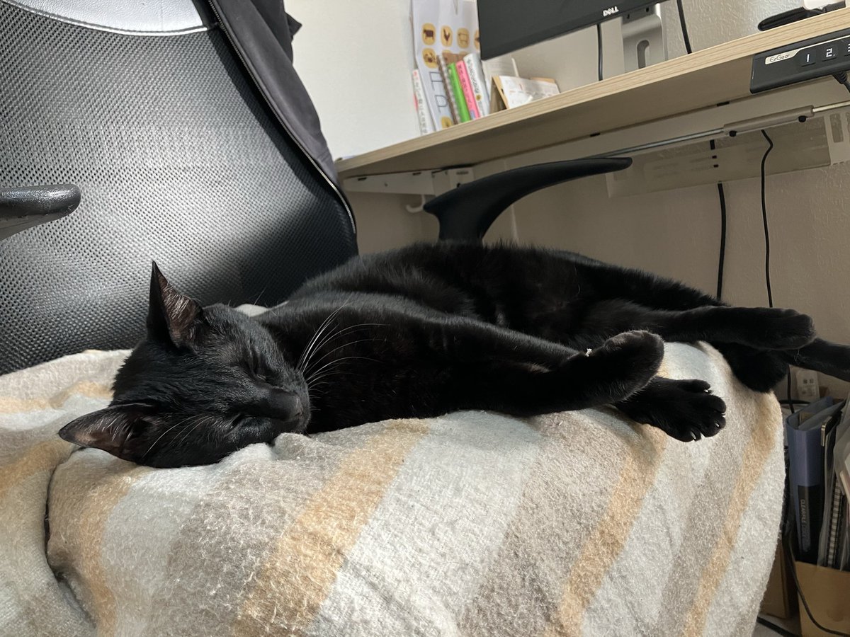 ずーっと仕事の邪魔してる