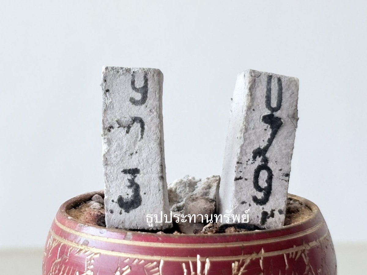 💚 903 • 603 • 908 • 608 💚
🗓️ วันสุข