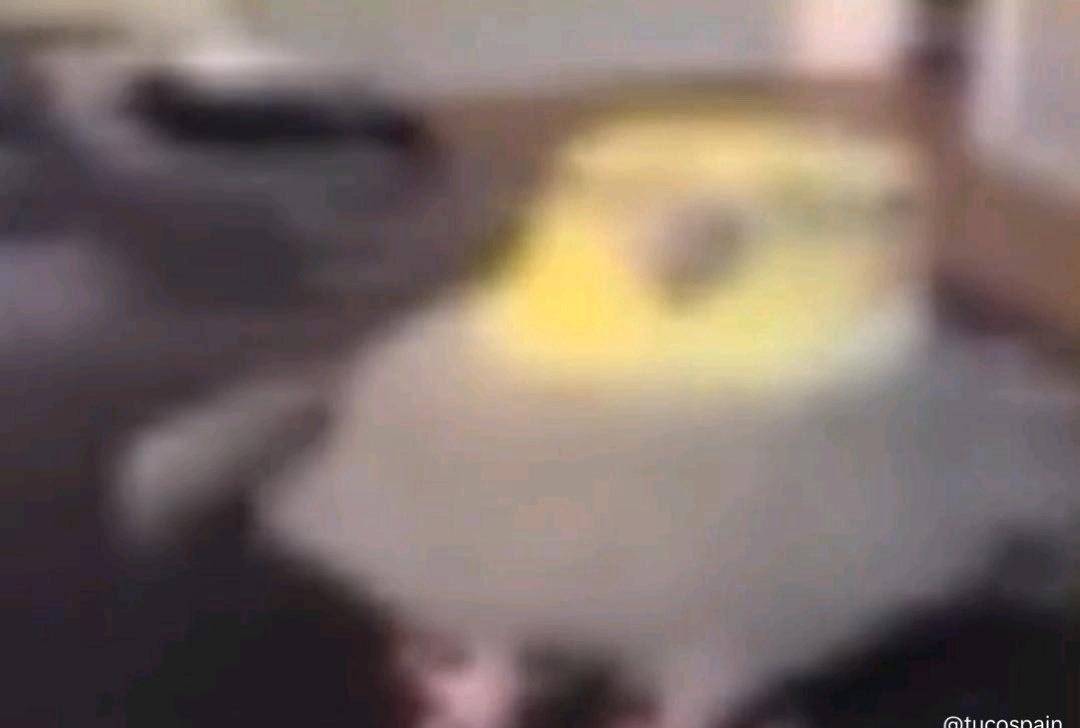 Nelku 🤍 tweet media