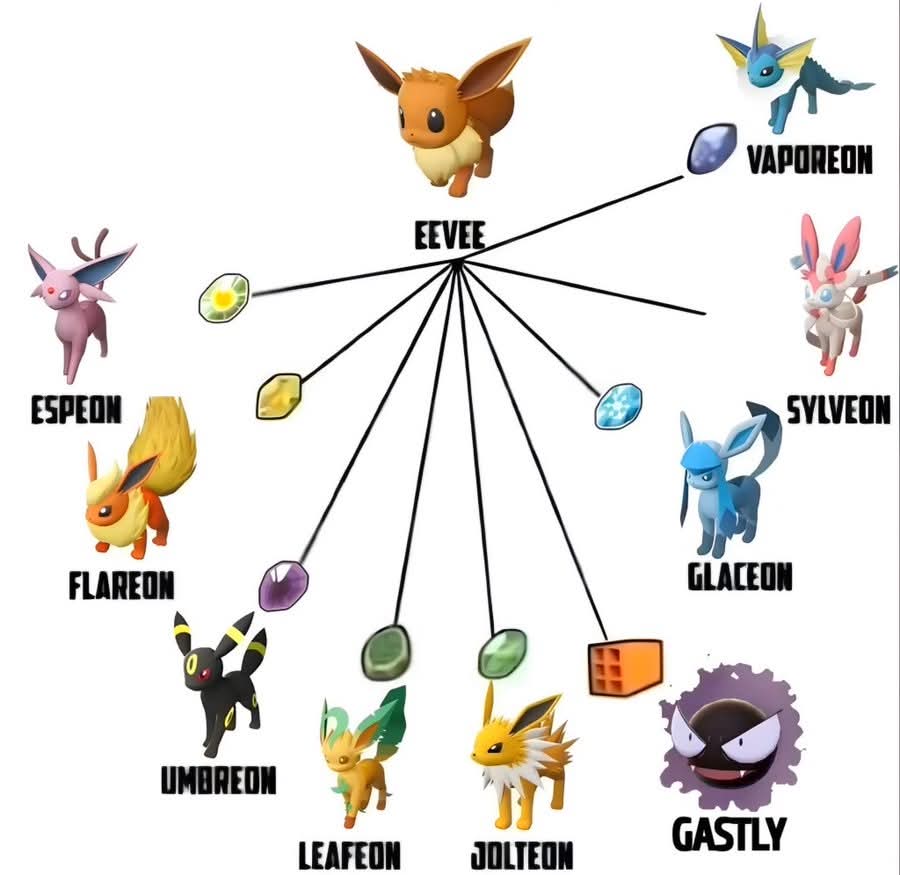 🪨✨Eeveelutions and their Evolution Stones