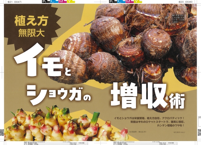 2/5発売!　#現代農業　3月号の校正刷りをチラッとお見せします🔍️

巻頭特集は「植え方無限大　イモとショウガの増収術」

イモとショウガは「芽さえあれば育つ」からこそ植え方は無限大♾！
常識はずれのロケットスタートで、確実に増収🍠
カンタン増殖のワザも💁

お楽しみに!!