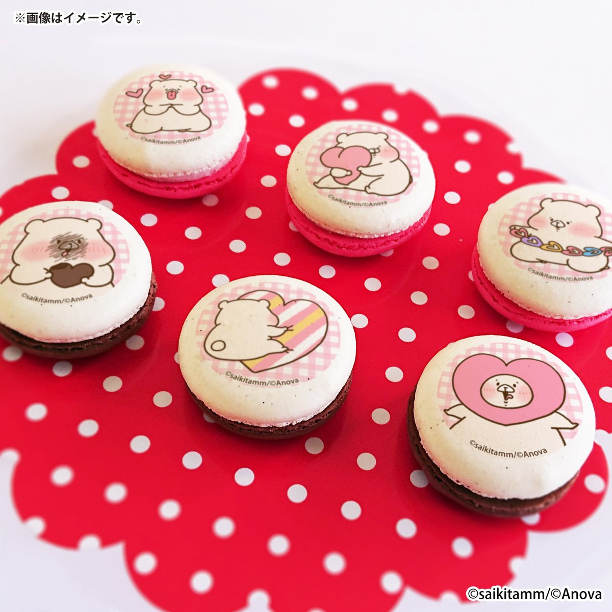 さいきたむむ (@tamsorogi) / Posts / X