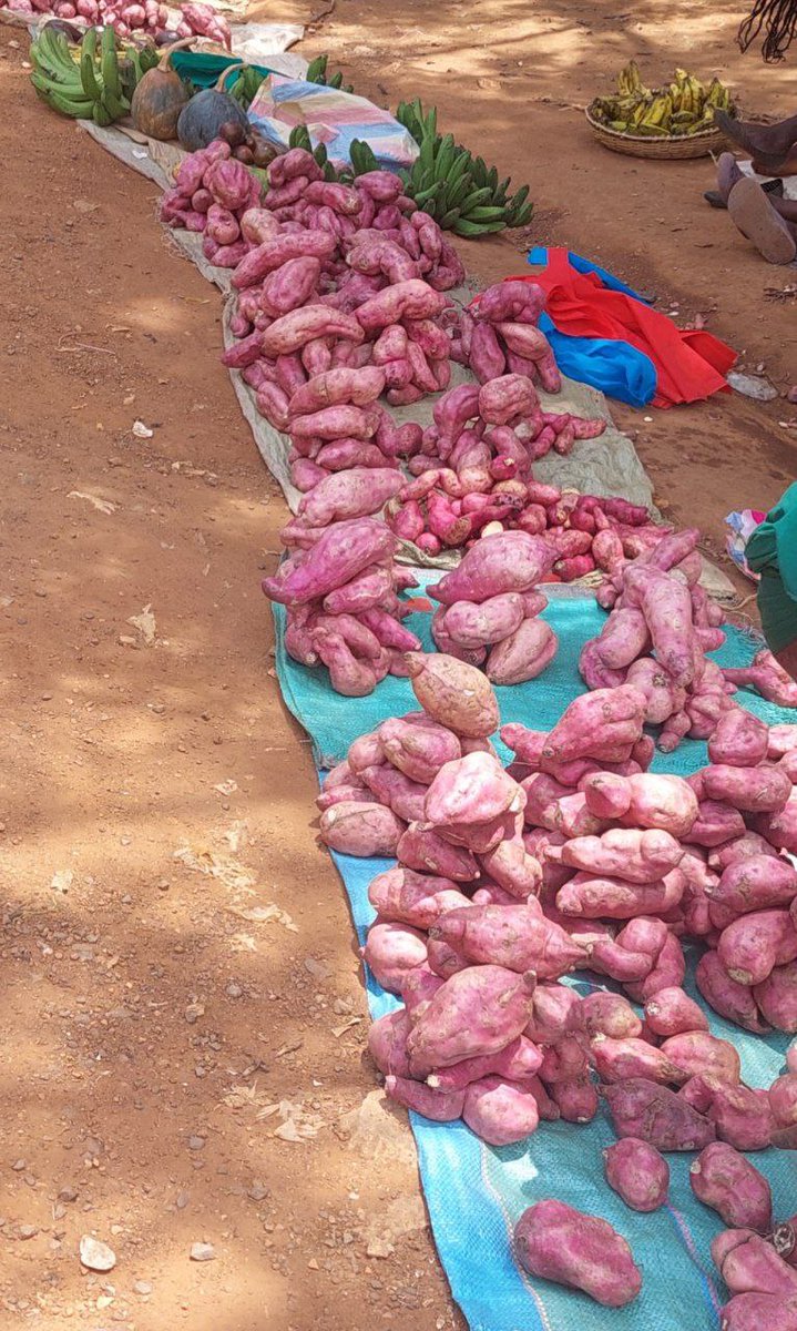 amerix's tweet image. "Life is hard."

"Sugar is expensive."

"Maize flour is expensive."

"We are suffering because we cannot afford cooking oil."

"We cannot afford bread."

That's what brainwashed masses whine and lament about every day.

Yet, these foods from the farmer are nutritious and