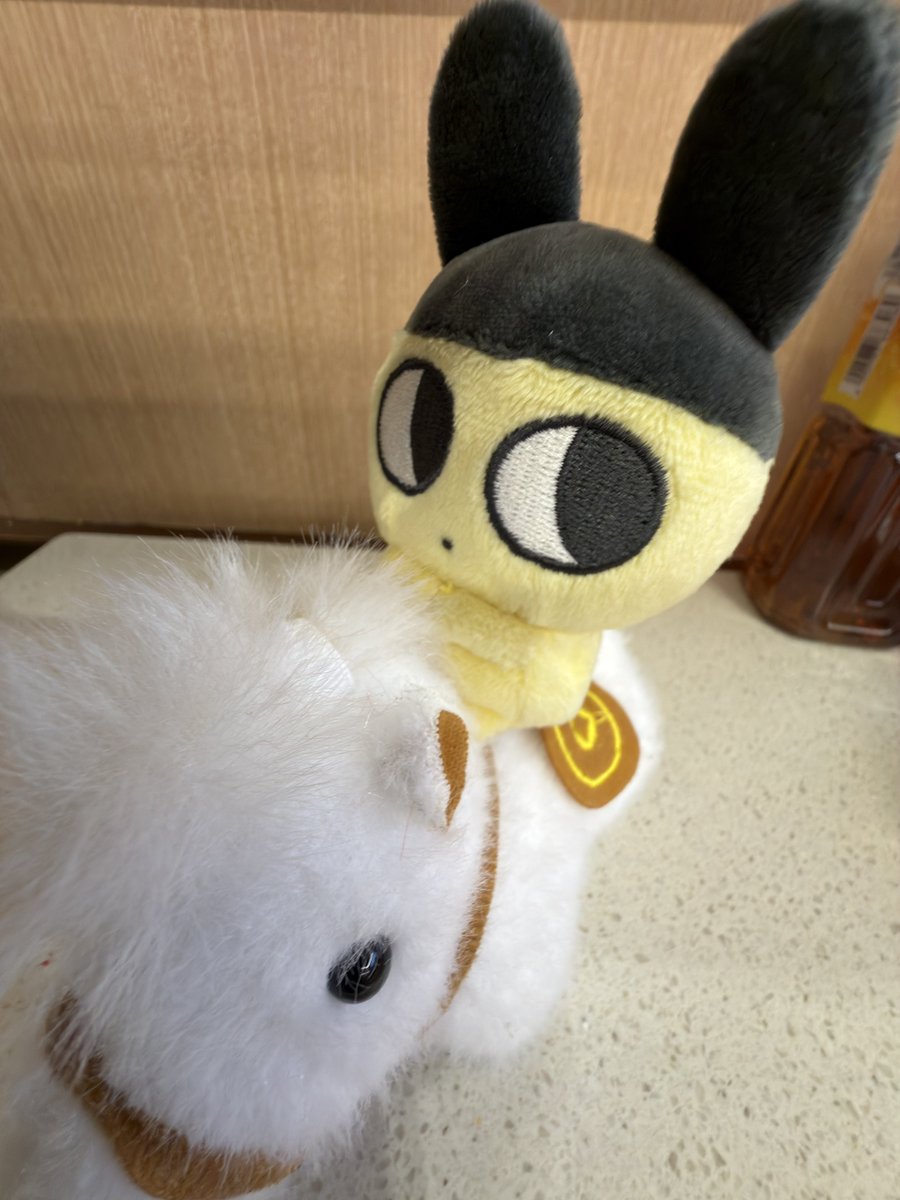 하딜에 말파는거아는사람
울집 말띠마메치 백마한마리분양해줌