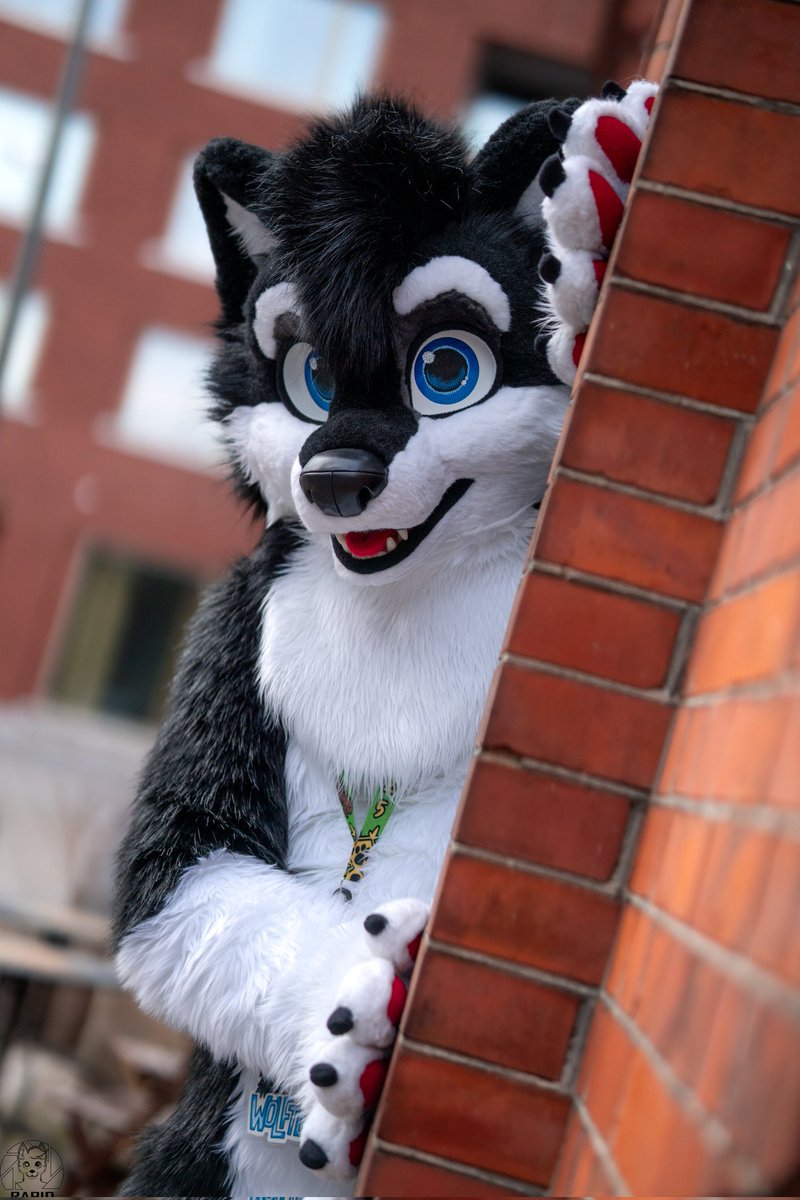 📸 <a href="/RapidtheHusky/">Rapid</a> 
#FursuitEveryday