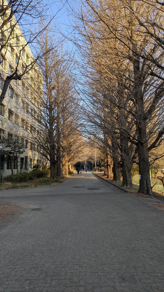 тасата tweet media