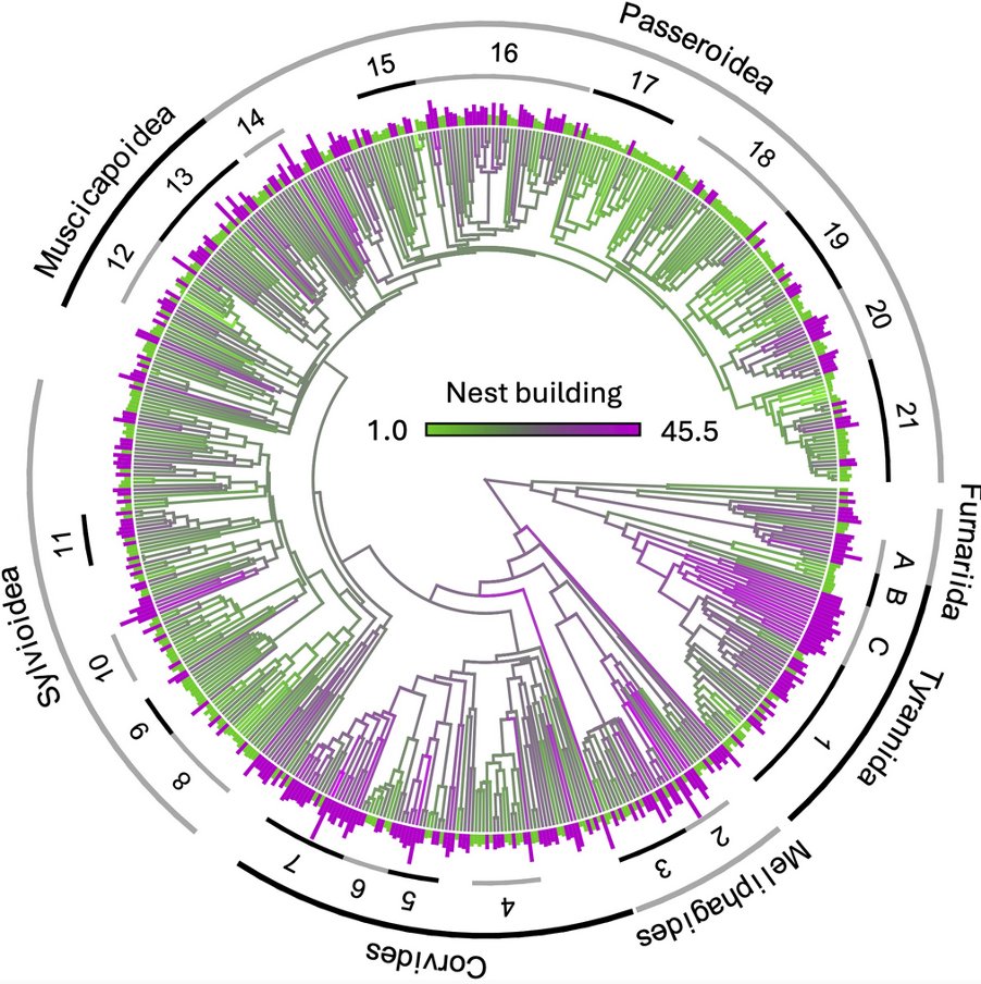 Behavioral Ecology tweet media