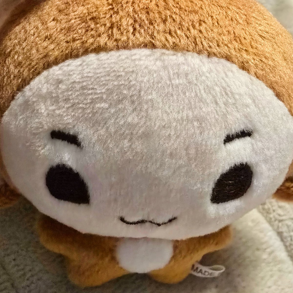 urongiii's tweet photo. 졸귀숭 건싱이 https://t.co/3PCSZDQ1Ny