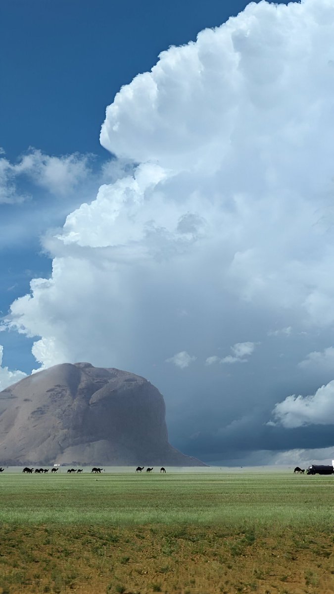 هذه الصورة جمعت هذه الآيات دعوةً إلى التفكّر في خلق الله سبحانه 😇

﴿أَفَلَا يَنظُرُونَ إِلَى الْإِبِلِ كَيْفَ خُلِقَتْ ۝وَإِلَى السَّمَاءِ كَيْفَ رُفِعَتْ ۝وَإِلَى الْجِبَالِ كَيْفَ نُصِبَتْ ۝وَإِلَى الْأَرْضِ كَيْفَ سُطِحَتْ﴾