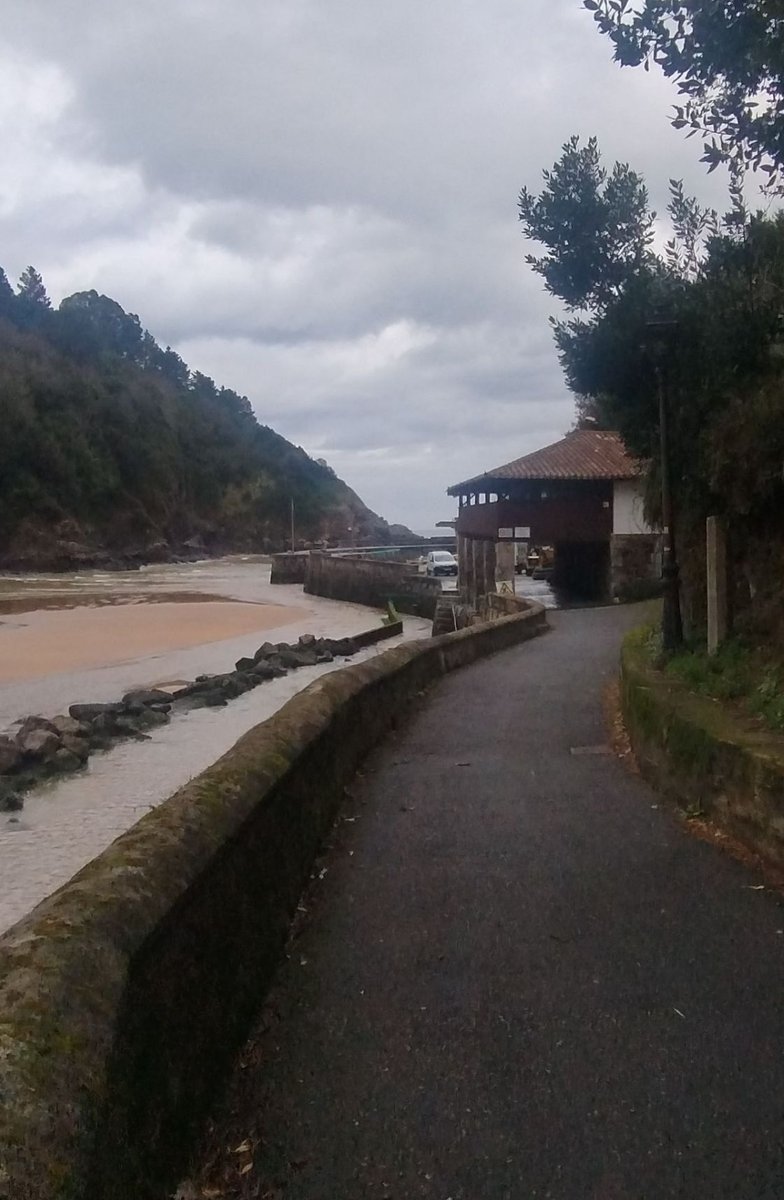 Tagzania tweet media