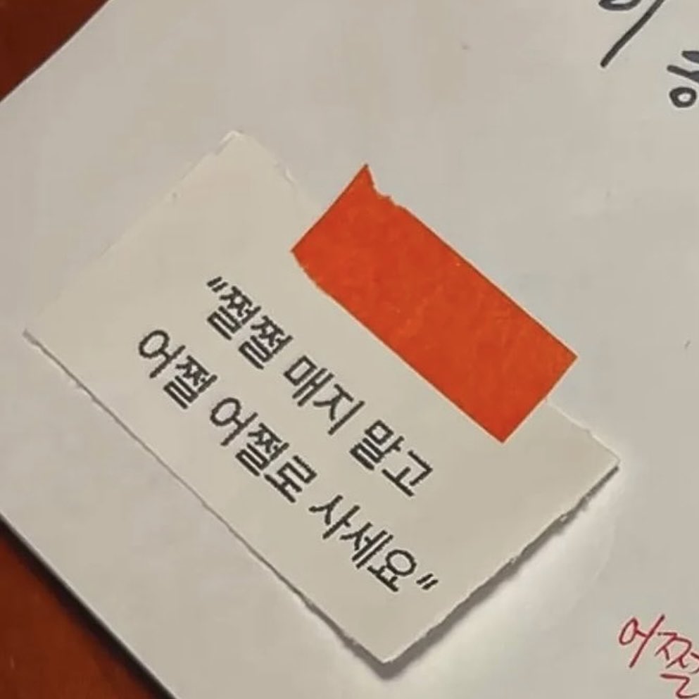 뾰 tweet media