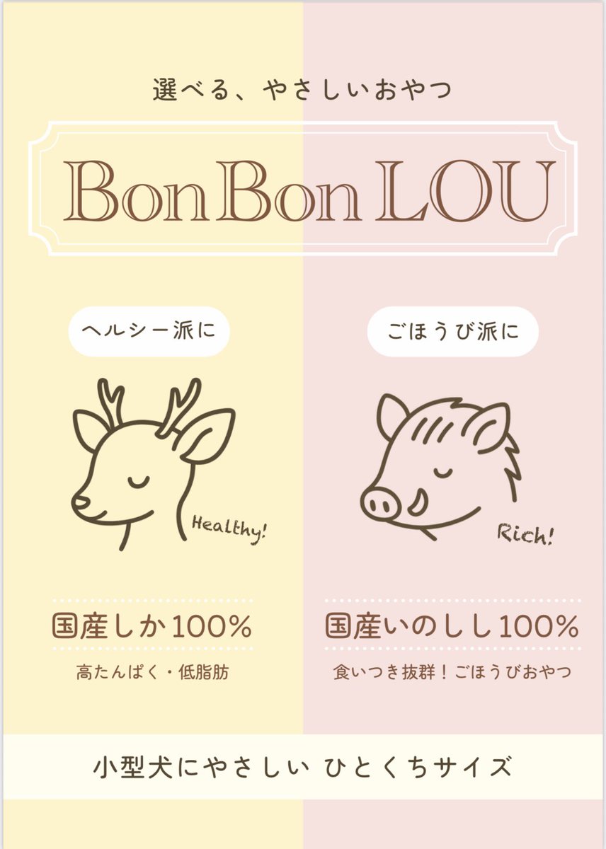 มินามิ โคจิมะ