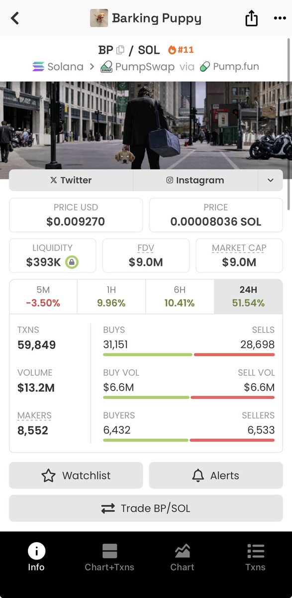 Tokyo Hayes tweet media