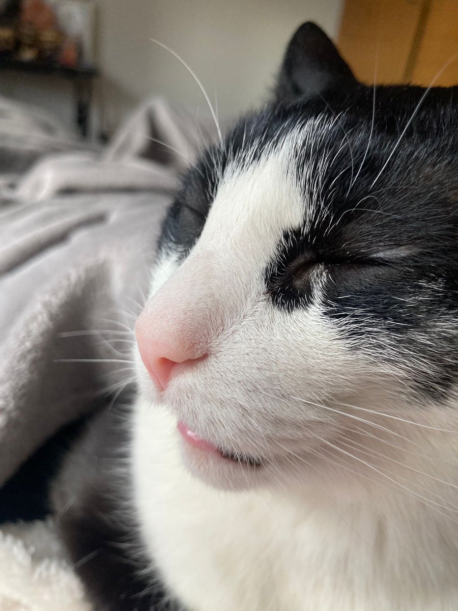 Buenos dias de parte de Marcel