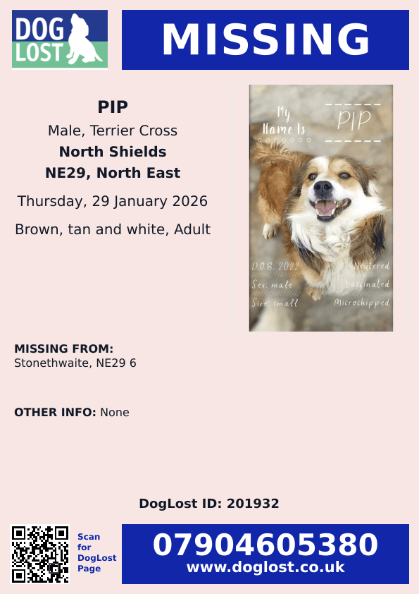 millypod1's tweet photo. π29 Jan 2026 #Lost Pip #ScanMe
Small Cross Breed #Rescue Male
Stonethwaite #NorthShields #NorthTyneside #NE29
https://t.co/HUSiEDLxdr https://t.co/UgULxnA1dk