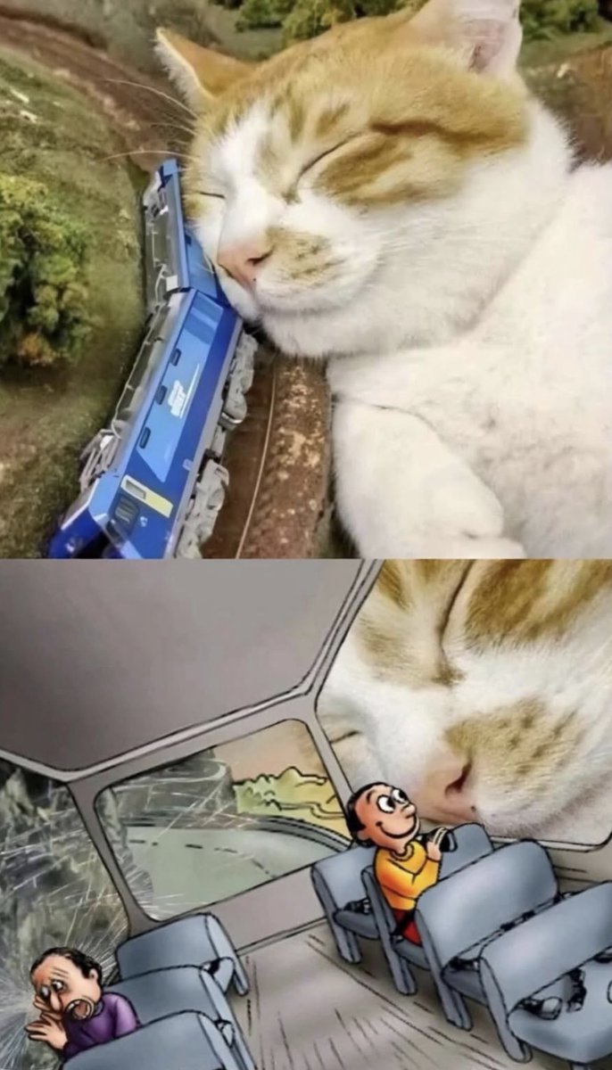 RespectfulMemes's tweet photo. https://t.co/dgBOZbDFMY