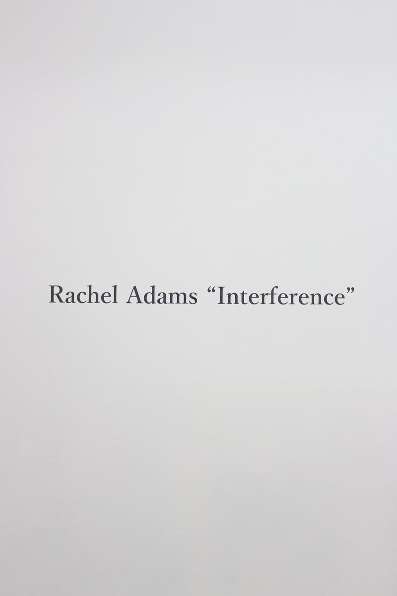 【展覧会／Exhibirion】
明日より、レイチェル・アダムスの個展を開催します。1月31日(土)17〜19時まで、若狭ビルの3ギャラリーがオープニングレセプションを開催。是非お運びください。

レイチェル・アダムス「Interference」
2026年1月31日(土)－2月22日(日)
12:00-19:00 (日 -17:00)
月・火 休