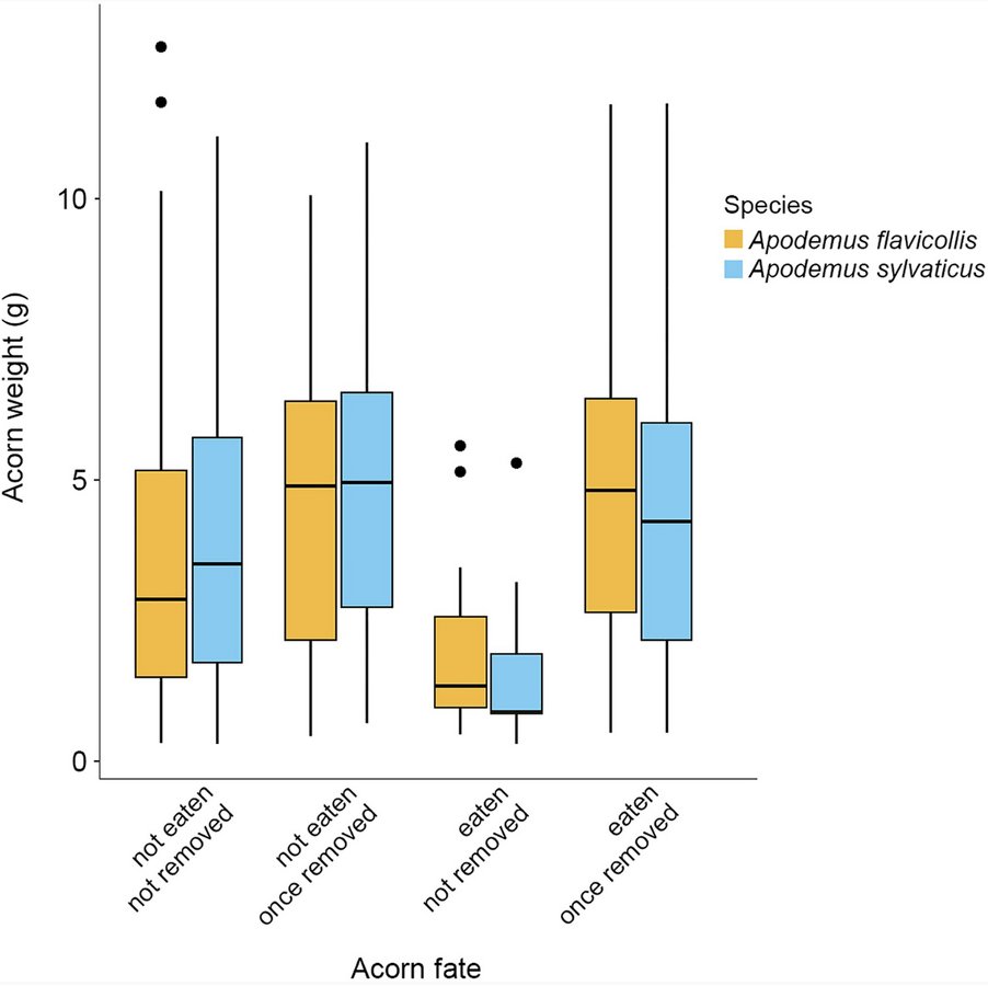 Behavioral Ecology tweet media
