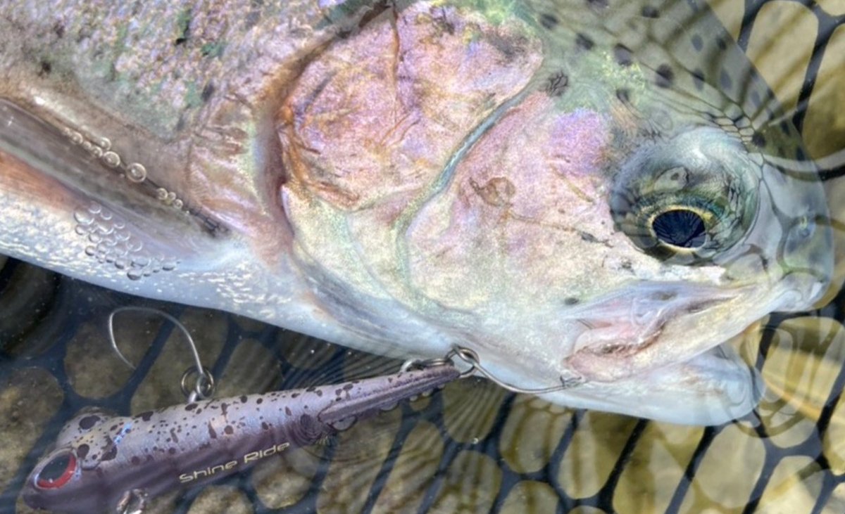 ヴァルケイン公式｜ValkeIN Fishing Gear Factory (@valkein_jp