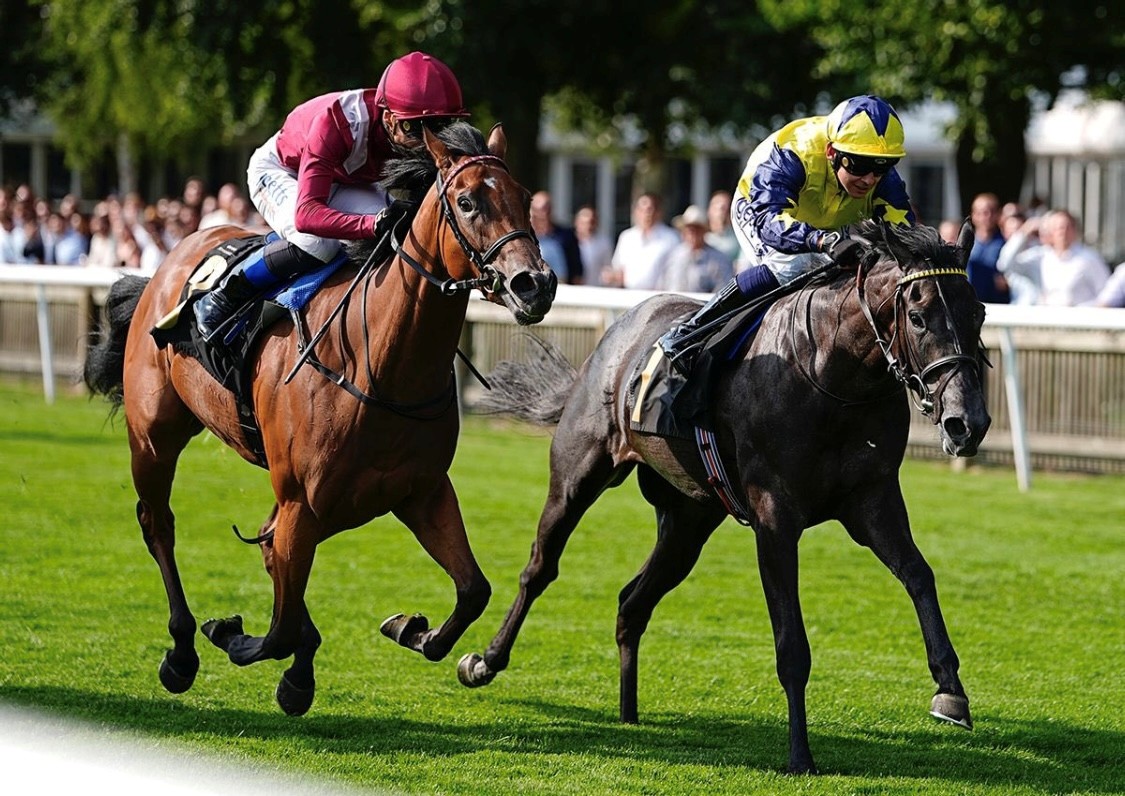 William Knight Racing tweet media