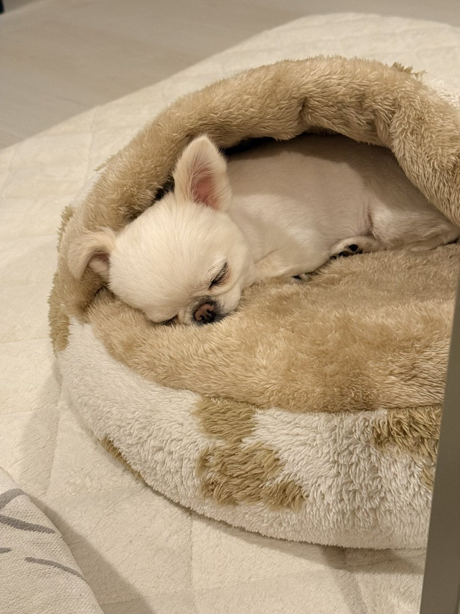 まーゆん (@mayu_mayu1225) / Posts / X