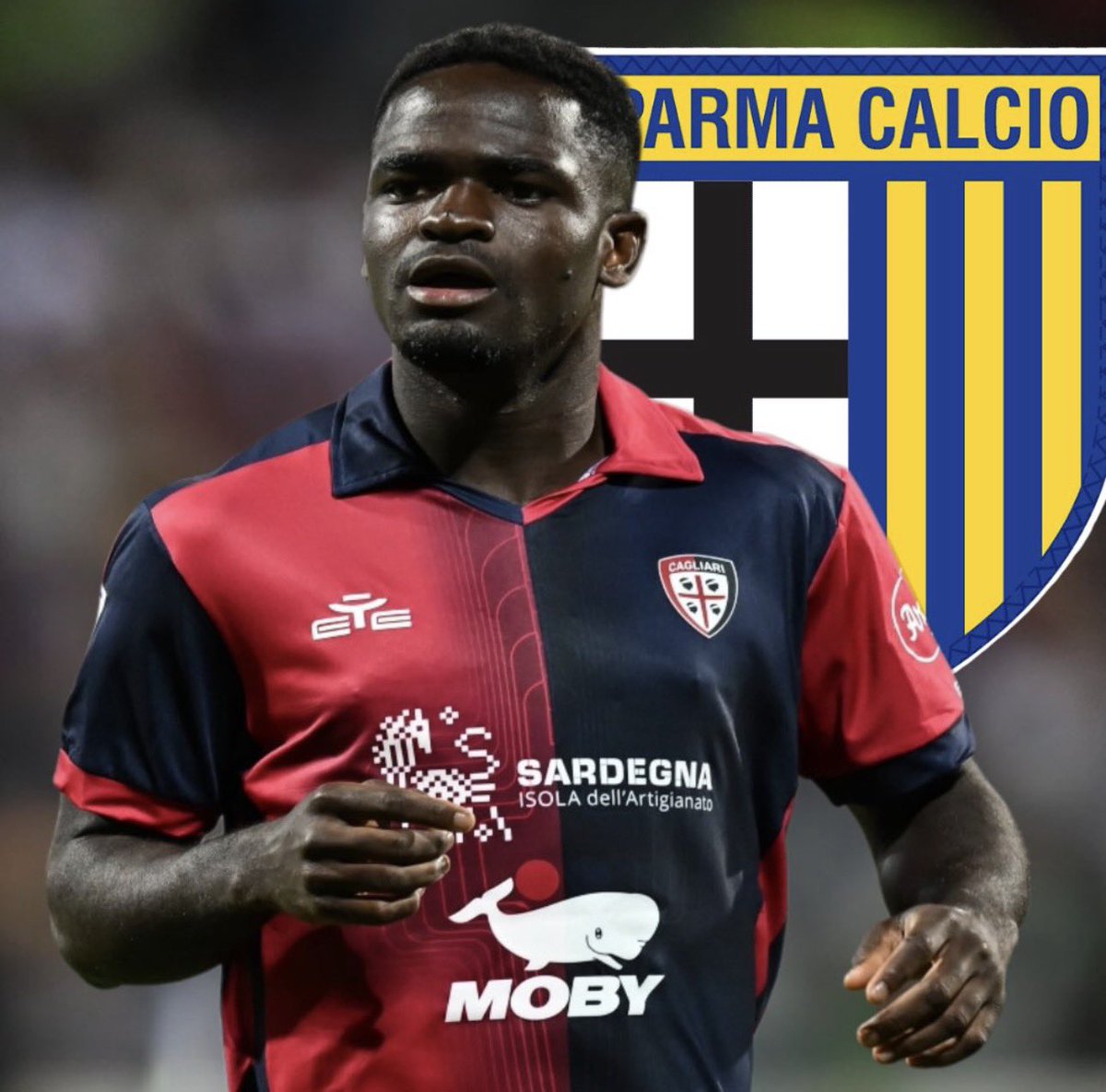 Pedro Almeida tweet media