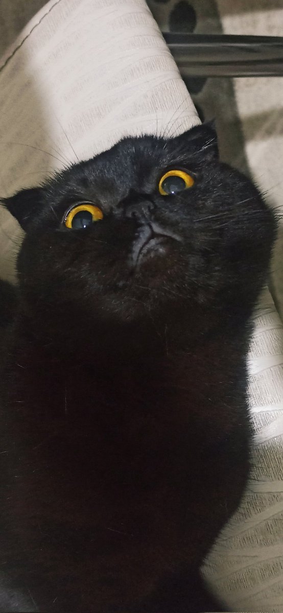 Misafirlikte şımardığımızı gören annemin bakışlar;