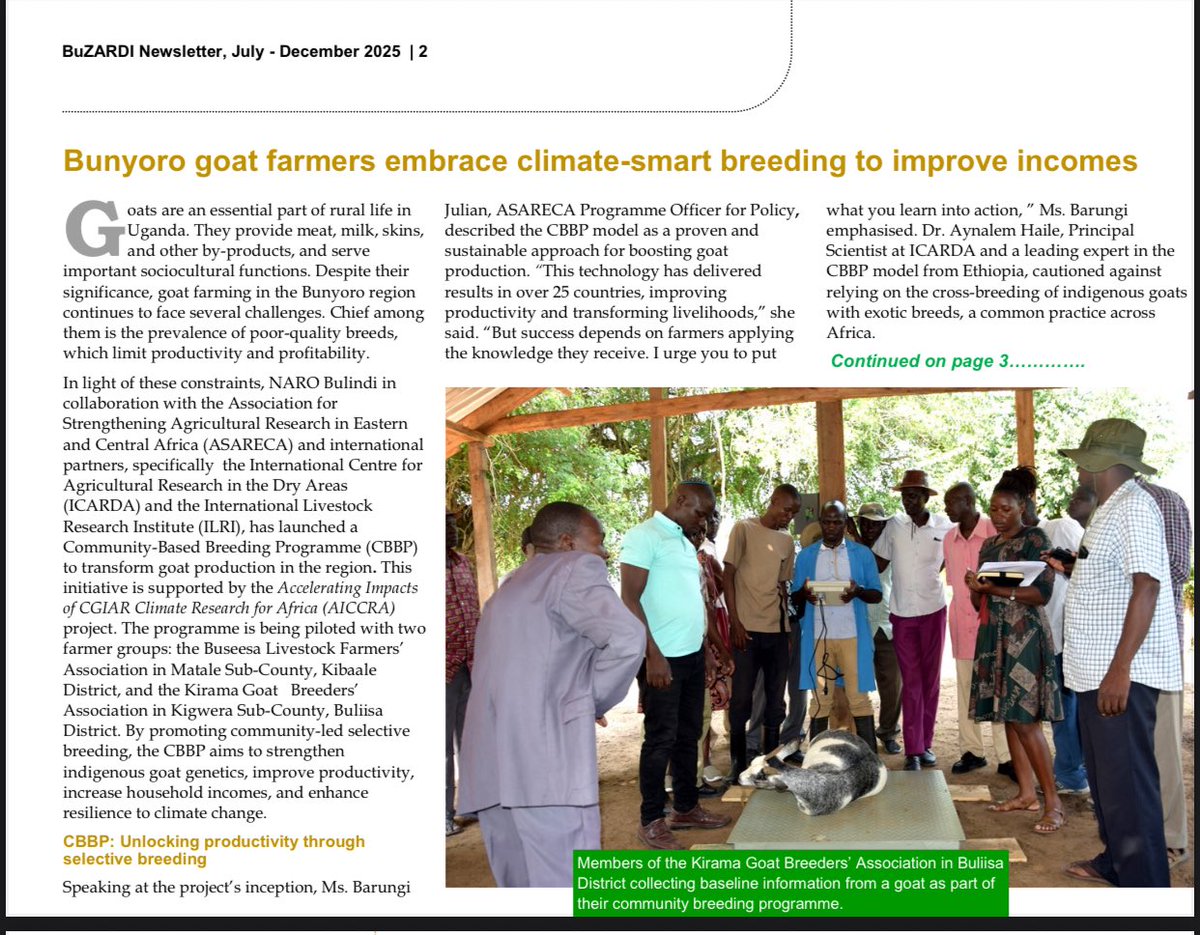 Bulindi ZARDI tweet media