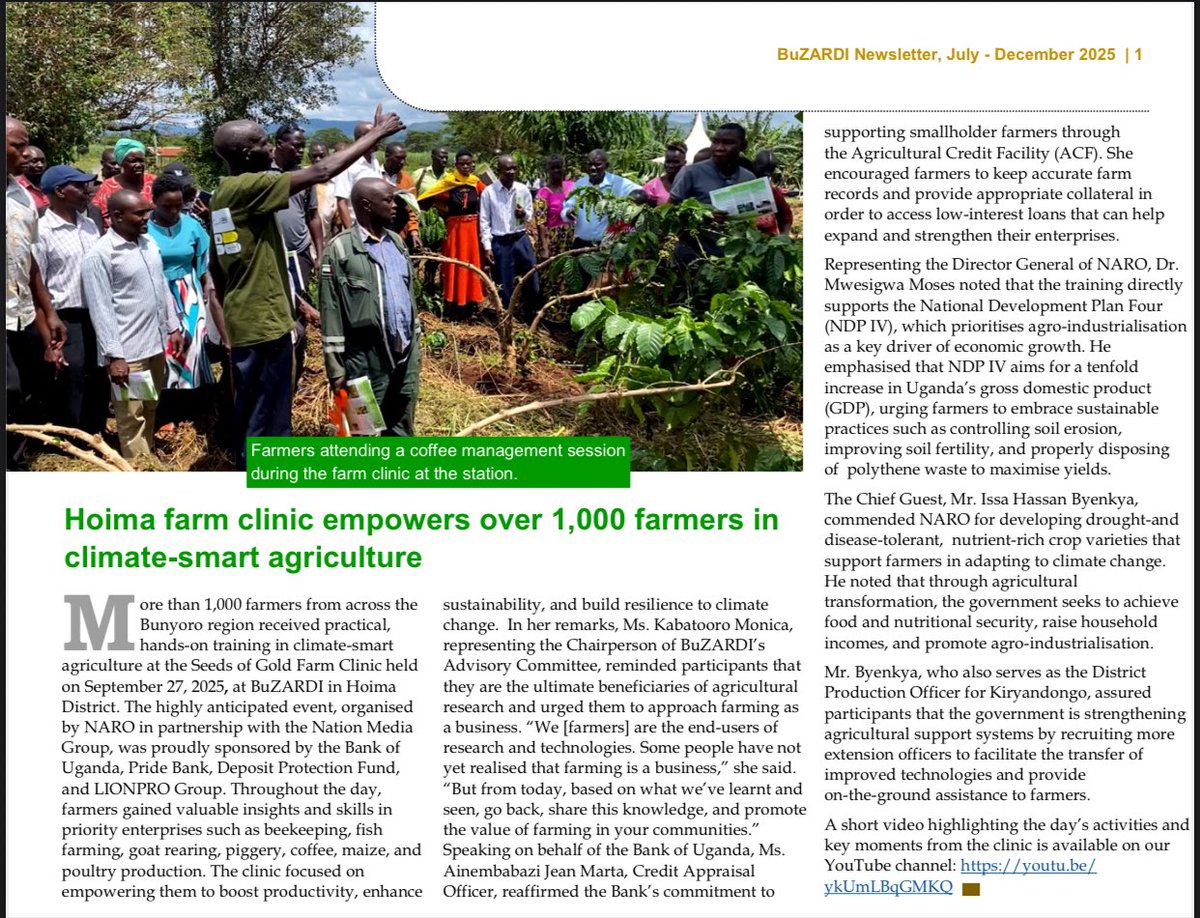 Bulindi ZARDI tweet media