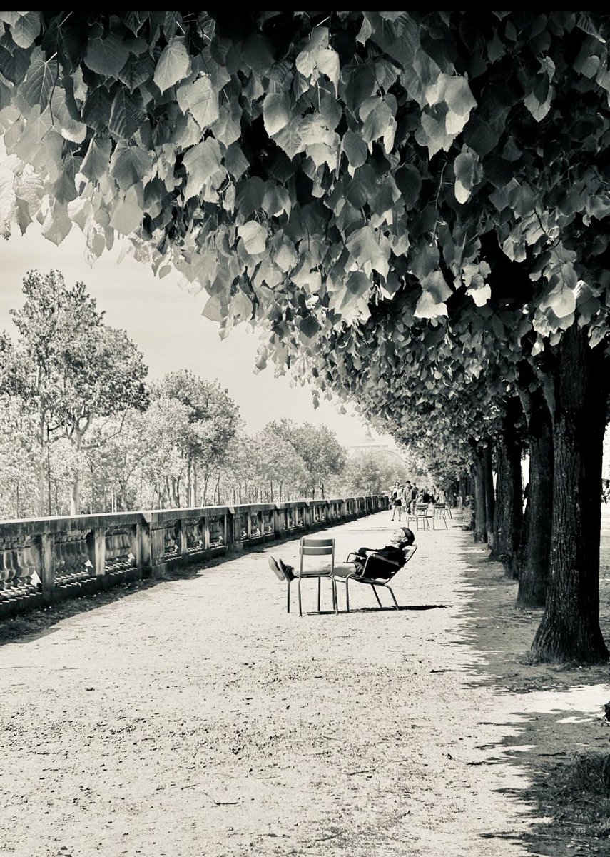 anna urli-vernenghi tweet media