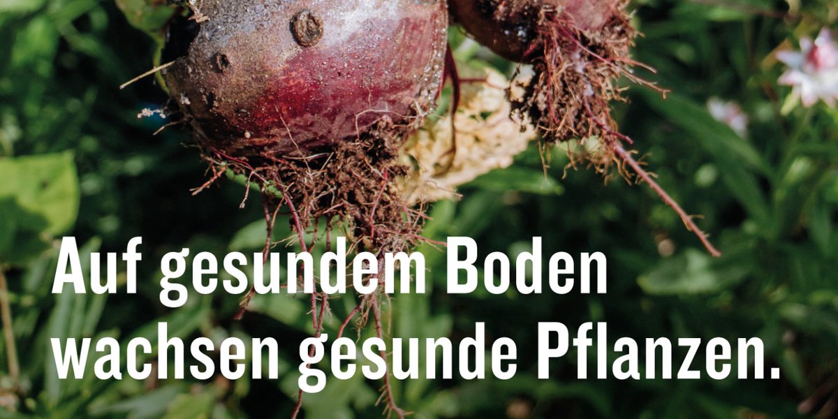 JuckerFarm tweet media