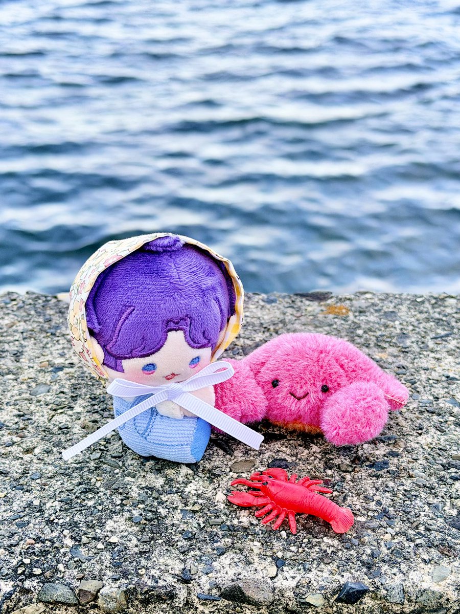 Post by らん on X: 🐟🦀🦞