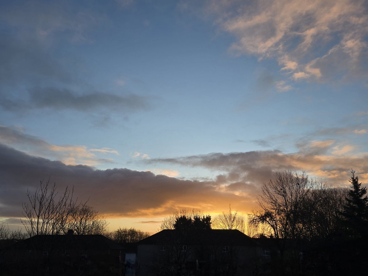 Sharon Derrick tweet media