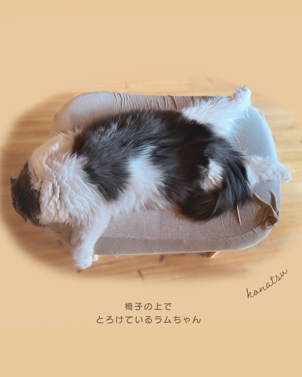 こなつ (@konatsu_tunacan) / Posts / X