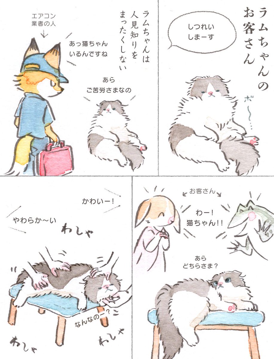 こなつ (@konatsu_tunacan) / Posts / X