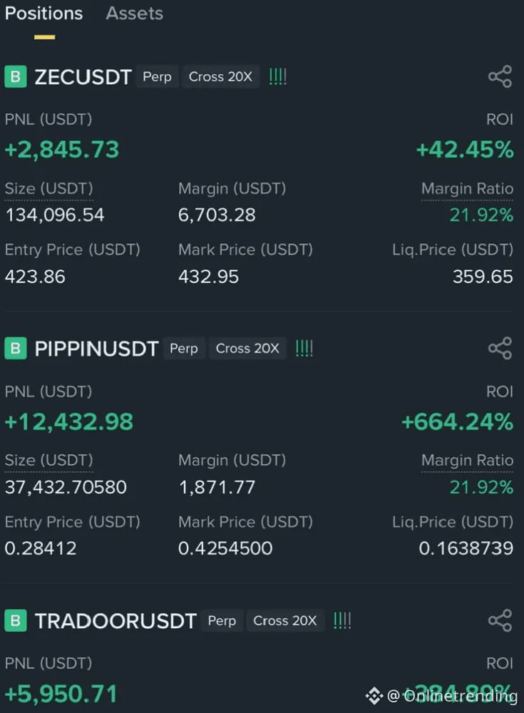 BeLaunch_'s tweet photo. PROFIT DAY HIT DIFFERENT
$PIPPIN | $TRADOOR | $ZEC
$PIPPIN — volatility doing its thing
$TRADOOR — holding strong
$ZEC — moves like a beast
Big day. Big lessons. BIG profits.
Trust the process.
Patience + discipline + belief.
Millionaire loading…
INSHALLAH
#PINPIN #TRADOOR #crypto #belaunch