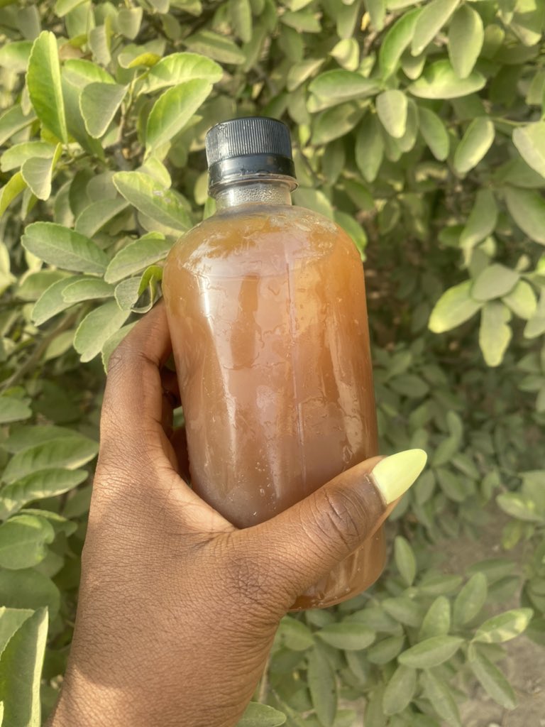 Tamarind drink 800 naira

📍Minna