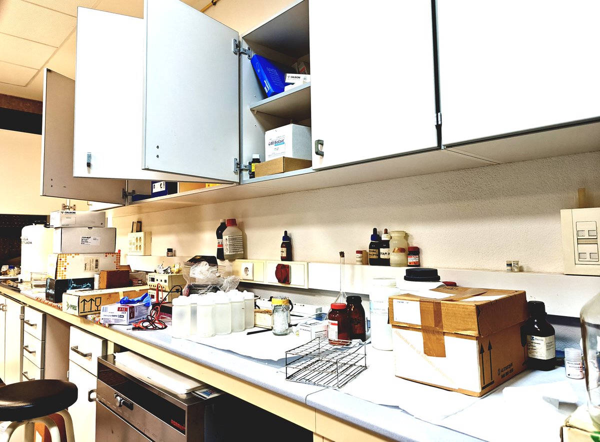 joseramosvivas's tweet image. Haciendo reformas en casa.
Se aceptan inquilinos para aprender #Microbiologia
#TFG
#TFM
#PhD students
#Postdocs