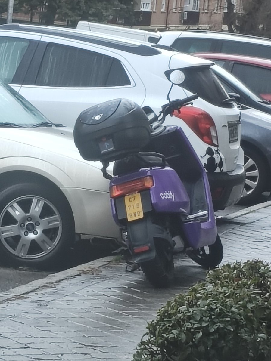 barriodelpilarlimpio tweet media