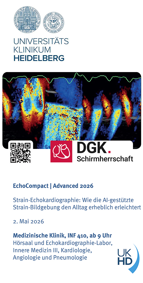 echobasics tweet media