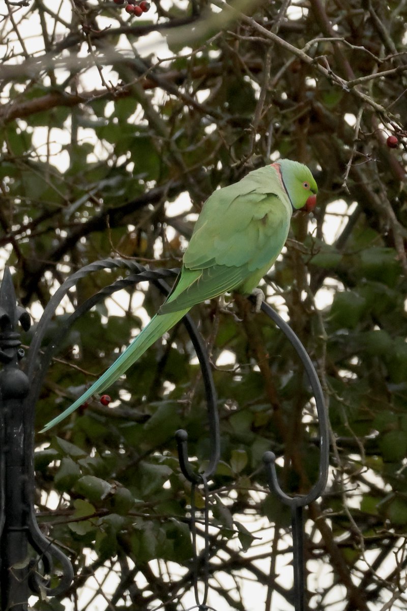 Gary H (@buzmor1) on Twitter photo 