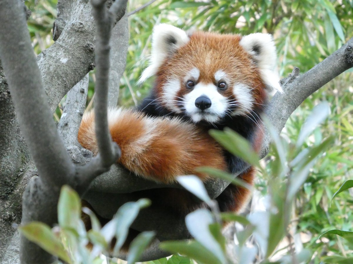 へいへい (@heihei0219) on Twitter photo 