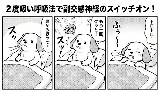 s_matuzaki's tweet photo. 布団に入っても目が冴えて眠れない人のための呼吸法があるんだけど、これが個人的に本当によくて、もともと寝つきが悪い僕は今でもほぼ毎日やってる。ポイントはただの深呼吸じゃなくて「2度吸い」。

①鼻から息を吸う（通常の深呼吸）
②吸いきったところからダメ押しでもう一度短く「スッ」と鼻から吸う（ここが重要）
③口から「フーッ」と細く長く息を吐ききる

これを2〜3回やるだけで、脳が「もうリラックスしていいんだ」と認識して、副交感神経にスイッチが入る。

ストレスがかかると呼吸が浅くなって、肺胞がつぶれて酸素交換がうまくいかなくなる。「2度吸い」をすると肺胞をパンっと広げて二酸化炭素を排出できるようになるという仕組み。

呼吸は唯一、自律神経に意図的に介入できる入口。正しいやり方でやると効果絶大です🙆‍♂️