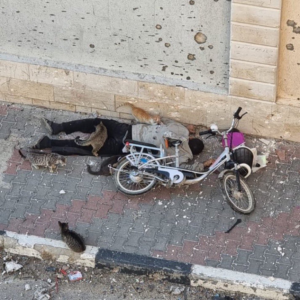 They killed him, his daughter and his cats.

Why? Because IDF soldiers want to “have fun.”