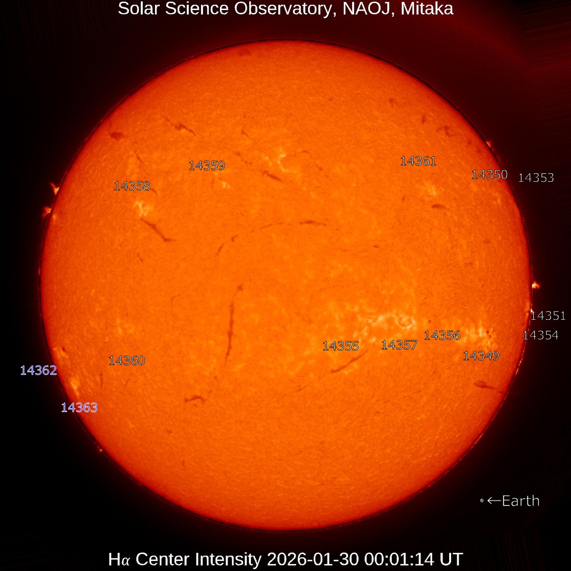 太陽の散歩 本日の太陽】2026-1-30のHα線全面像 活動領域14362,14363の2つが新た