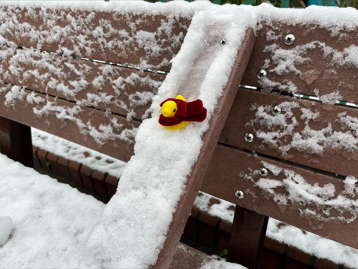 ハシートップイン【公式】🐥 (@HashyProduct) / Posts / X