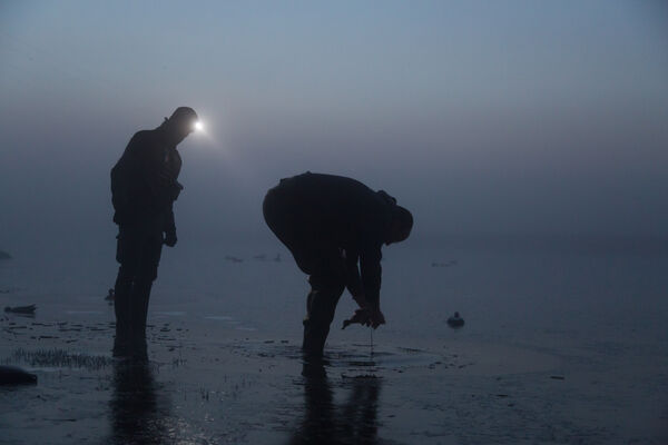 Image de Préfet de la Somme - #Nature  I 🦆À l’approche de la fin de la saison, mission de contrôle de nuit par l'OFB de la pratiq