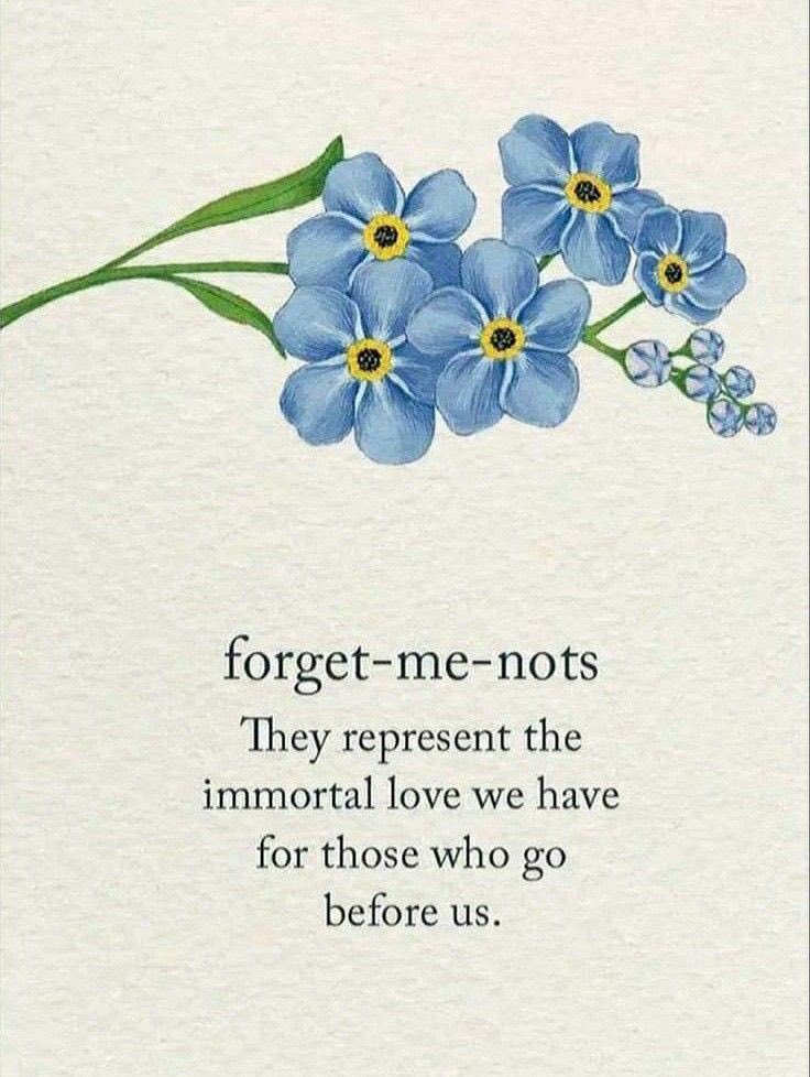 seraphicxc's tweet image. 